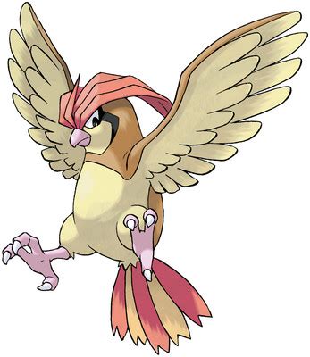 pidgeotto moveset gen 1.